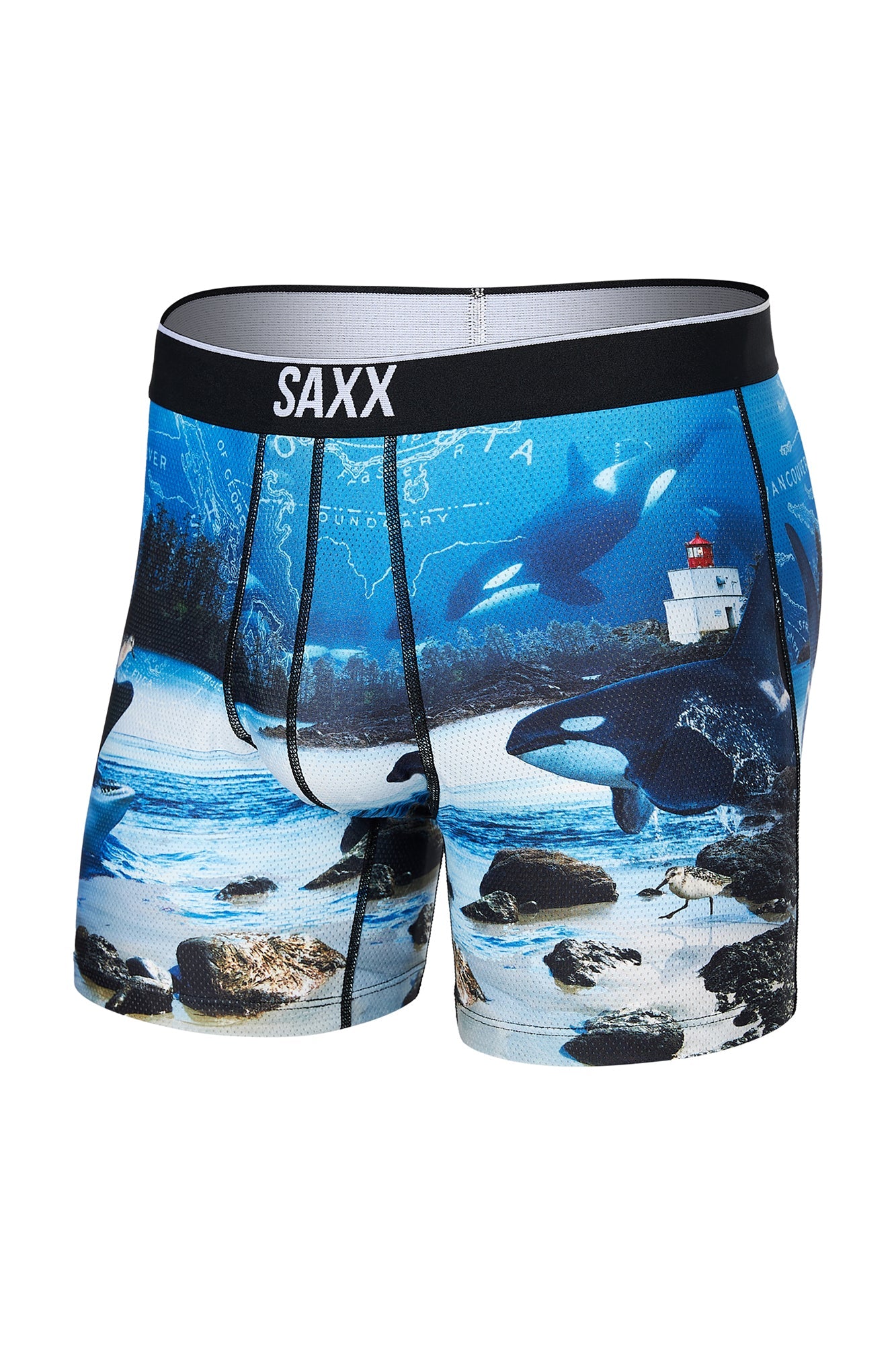 Boxer shop saxx homme