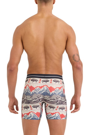 Vue arrière sur mannequin du sous-vêtement multicolore à motif montagnes, arbres et bisons pour homme par Saxx