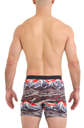 Saxx men's mountain-print boxer briefs with mid-thigh legs and black waistband shown from the back